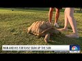 Tortoise thrives in San Diego heatwave in Mira Mesa | NBC 7