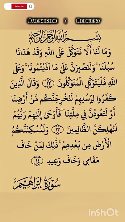 Recitation of the holly Quran status #shorts #duet #memes #viral #quran #tilawat #status