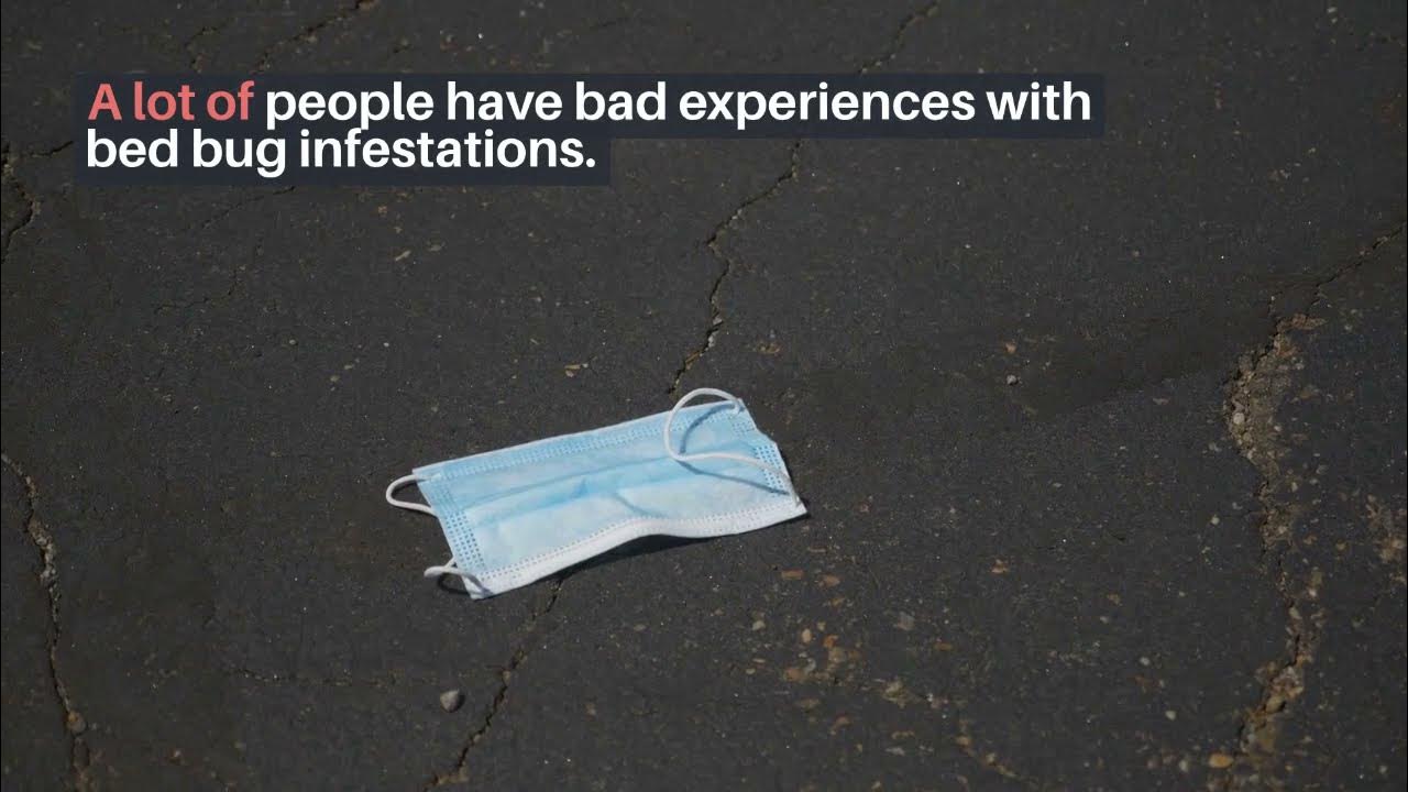 Dream about bed bugs YouTube