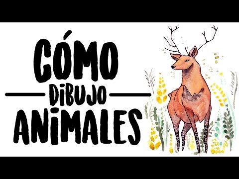 Video: Cómo Dibujar Estilo Salvaje