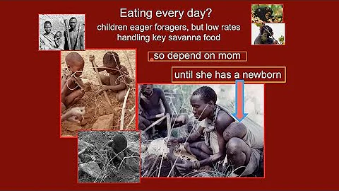 Exploring The Human-Ape Paradox - Alyssa Crittende...