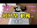 勤務時間を減らした末路/《高年齢求職者給付金》は貰えるか!? とうとう認定日がキターー‼︎