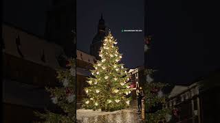 Christmas Tree In Riga, Latvia 🇱🇻🌲❄️