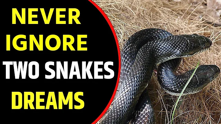 What does Two Snakes dream meaning | Dreaming of a Pair of Snakes | Two Snakes dreams Interpretation