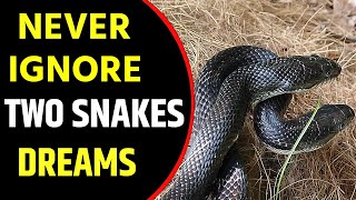 What does Two Snakes dream meaning | Dreaming of a Pair of Snakes | Two Snakes dreams Interpretation