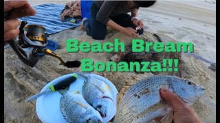 BEACH FISHING BREAM BONFIRE!!! Best Catch and Cook. Rob Taylor's - Episode 52