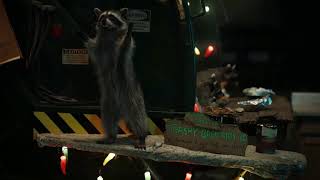 Geico: Raccoon Food Truck 'Chez Dumpster' Sequel Commercial