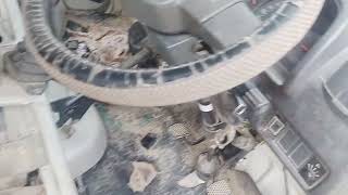 Maruti Omni average set LPG starting problem mileage set