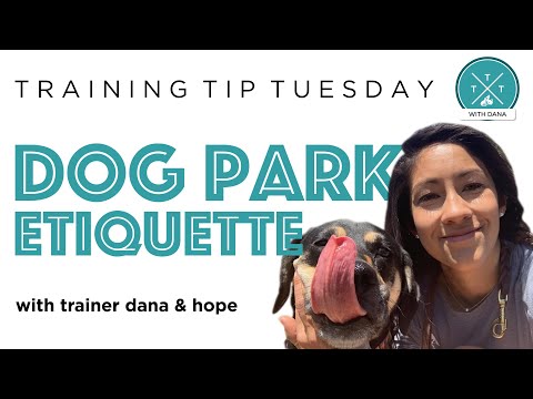 Video: Dog Park Safety: 6 Tips For Pet Parents