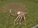 Spore Creature Creator Video - Face Hugger