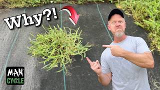 3 Reasons Your Weed Barrier Fails & Weeds Keep Growing Through!