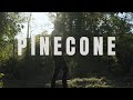 Loner deer  pinecone official music