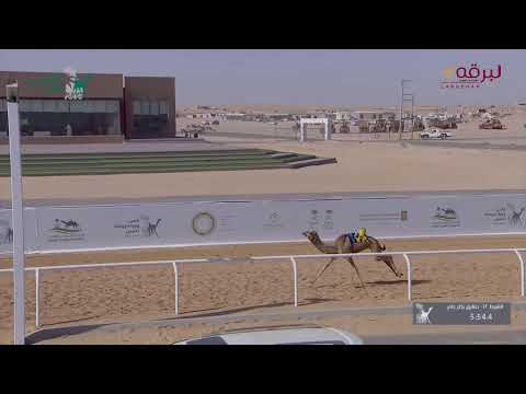 البث المباشر منافسات الحقايق العامة مهرجان كأس وزارة الرياضة للهجن صباح الجمعة 1 12 2023