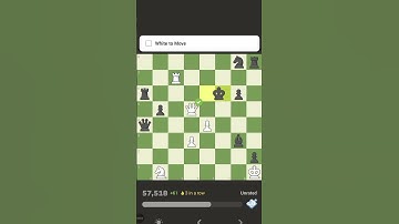 #chess #chessgame #chesscom #puzzle #chessmaster #dingliren #siciliandefense #chessgrandmaster #ch