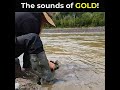 The sounds of GOLD!