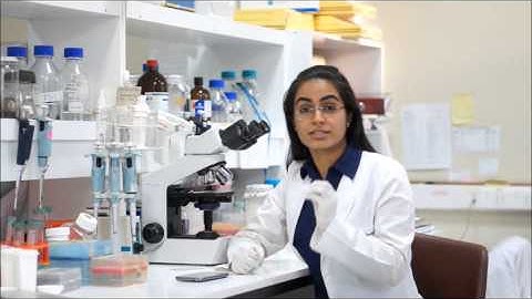 Lab4U Short Pitch ENG