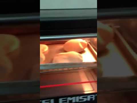 عيش المطاعم وجماله وتحدي