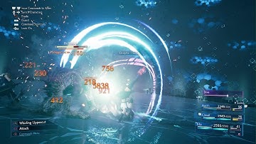 FINAL FANTASY VII REMAKE - Dolphin Flurry (Tifa limit break)