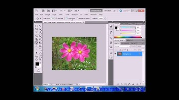 Photoshop CS6 Tutorial The Magic Eraser Tool Adobe Training