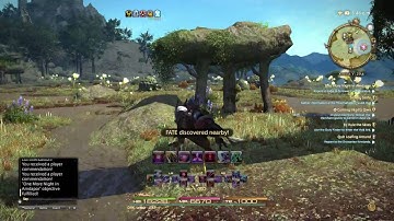 This is such amazing ! Final Fantasy XIV - Final Heaven