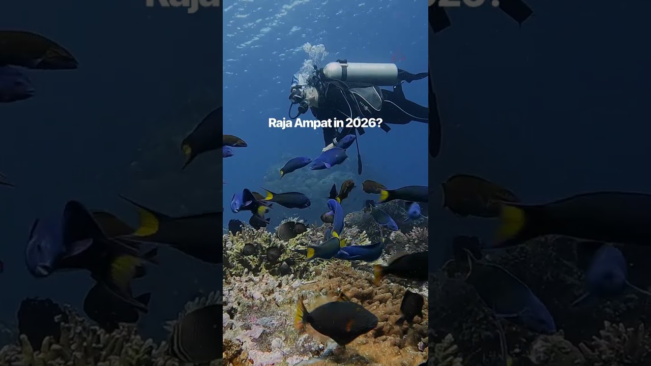 Raja Ampat in 2026?