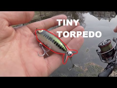 Heddon Tiny Torpedo--March Topwater Bass 