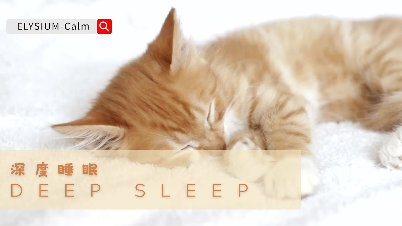 Cat Deep Sleep Music 🌙 1 Hour  ELYSIUM-Calm for Cat Deep Sleep 貓咪深度睡眠音樂 🌙 1小時 ELYSIUM-Calm 平靜｜貓咪陪伴入睡