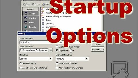 Startup Options to simplify User Interaction with the Access Application ~ DataPig