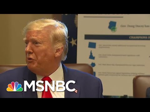 Trump Belittles Article I, Section 9, Paragraph 8 Of Constitution: ‘Phony Emoluments Clause’ | MSNBC