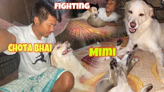 Chota bhai Aru mimi fighting