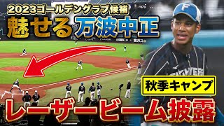 【外野守備】魅せる万波！強肩披露でエスコン集結のファンが驚嘆＜11/3ファイターズ秋季キャンプ2023＞