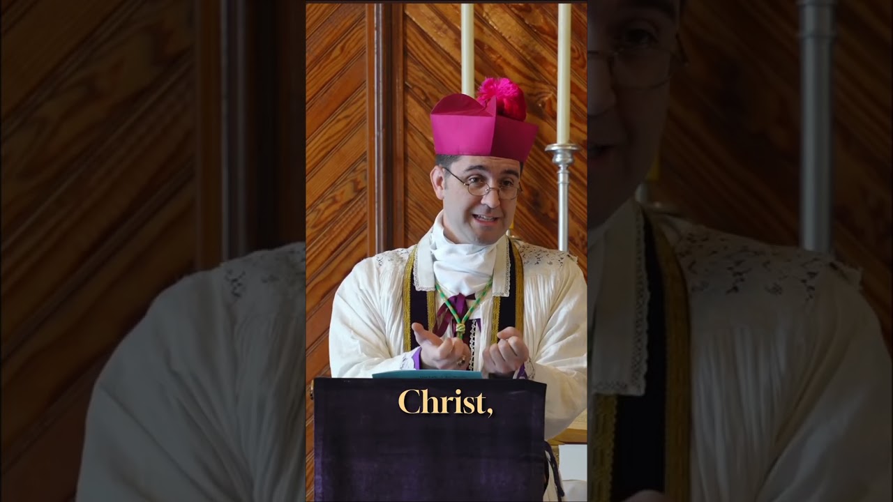 L'Homme Nouveau S'Épanouit Dans Une Vie Ordonnée @ourladyofjoymission-oljm3644