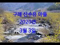 [4k]구례 산수유 마을! [The beauty of cornus flowers ,Gurye, South Korea]절정기 12일-22일.2020년3월3일촬영