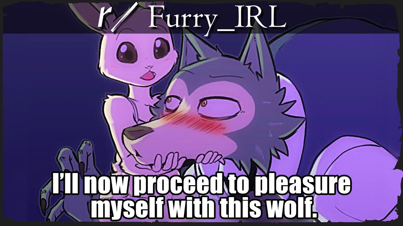 furry_irl : r/furry_irl