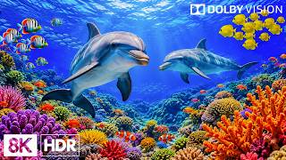 Details Mystical Ocean 8K 🌊🐠 Discover Colorful Tropical Fish & Vibrant Coral Reefs | Relaxing Escape Update