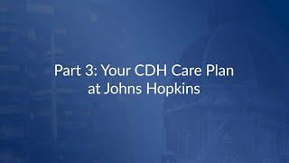 Understanding Congenital Diaphragmatic Hernia (CDH) Part 3 | Care Plan at Johns Hopkins
