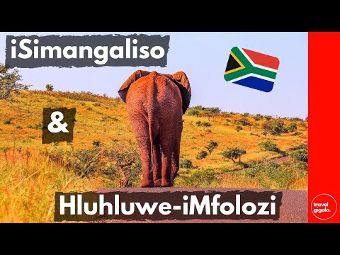 Travel Review: iSimangaliso St Lucia Estuary & Hluhluwe-iMfolozi (South Africa Self Drive)