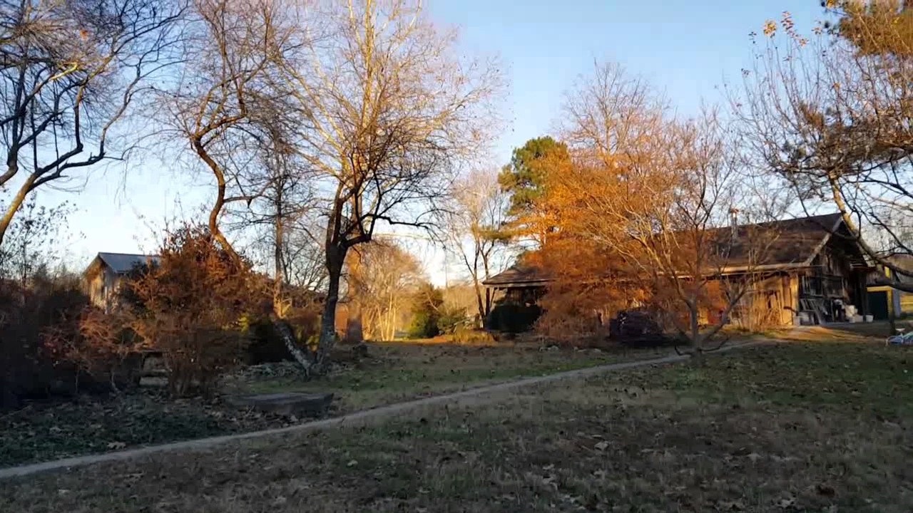 Twin Oaks Community - Louisa, VA - Nov 2016 walking tour