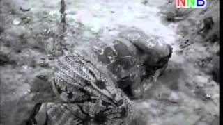 Ibu Mertuaku - Jadi Haiwan