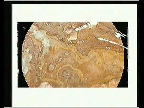Nigel Samways — Midnight Temple - Foss Moigne and Nigel Samways - [INTOY] ineverthinkofyou