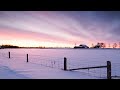 Farming At -8° Cowman Ranch