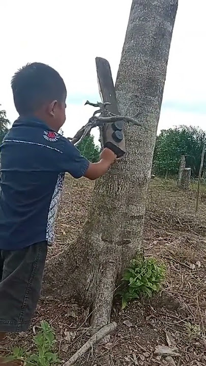 VIRAL!!ANAK INI BISA MENIRUKAN SUARA MESIN SINSO#shorts