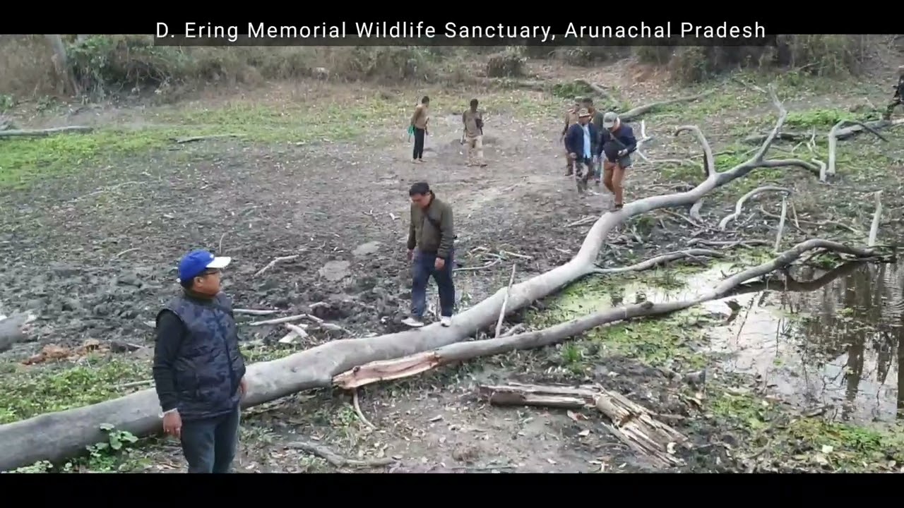 Wildlifing in the wild of D. Ering Wildlife Sanctuary