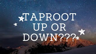 Taproot UP or DOWN? Ethos Run #1 with WISO.