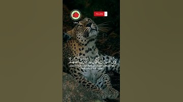 #قران_كريم #تلاوة_خاشعة #ياسر_الدوسري #المنشاوي #الدوسري_مؤثر #لايك #اكسبلور #ريلز #ريلزات #reels
