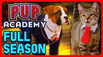 Pup Academy Season 1 Movie! (Every Season 1 Episode, Full Season)