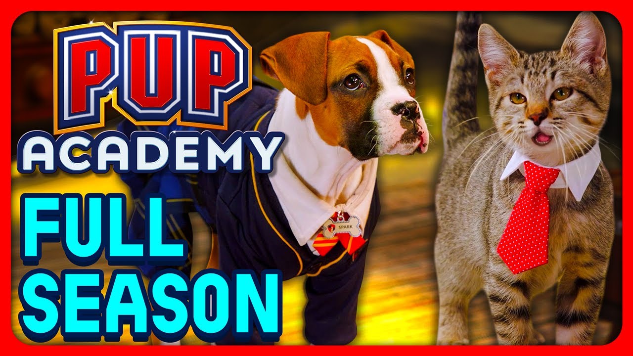 Pup Academy Season 1 Movie! (Every Season 1 Episode, Full