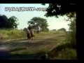 OVELHA NEGRA-RITA LEE-VIDEO ORIGINAL-ANO 1975 ( HQ )