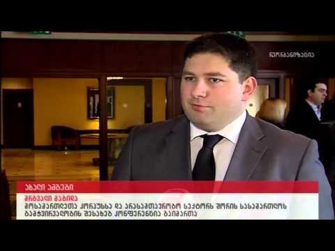 შეხვედრა მოსამართლეებთან  13-04-2013