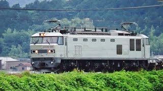 元カシオペア機　EF510-509　4071レ　2016.06.04　琵琶湖線